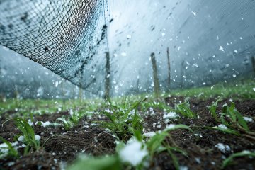 Ochrana před přírodními živly